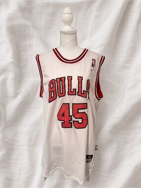 Vintage Nike Team Sports Chicago Bulls Michael Jordan #45